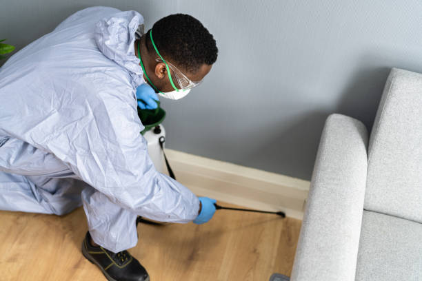 Best Residential Pest Control  in Blawnox, PA